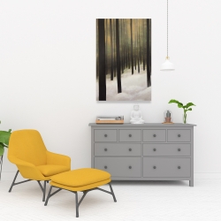 Toile 24 x 36 - Forêt silencieuse