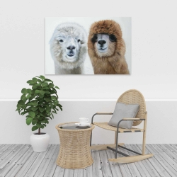 Canvas 24 x 36 - Two lamas