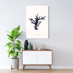 Toile 24 x 36 - Montipora digitata