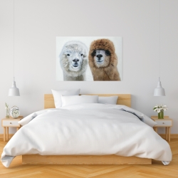 Toile 24 x 36 - Deux lamas