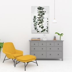 Canvas 24 x 36 - Eucalyptus stems