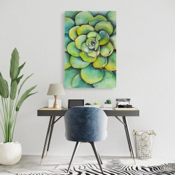 Canvas 24 x 36 - Watercolor succulent plant