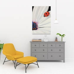 Canvas 24 x 36 - White daisy and ladybug