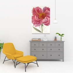 Canvas 24 x 36 - Pink peony flower