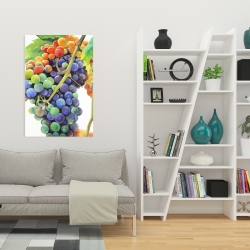Canvas 24 x 36 - Colorful bunch of grapes