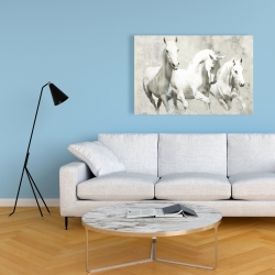 Canvas 24 x 36 - Three white horses running