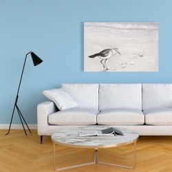 Canvas 24 x 36 - Semipalmated sandpiper