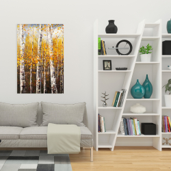 Canvas 24 x 36 - Birches by sunny day
