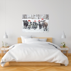 Canvas 24 x 36 - Curious christmas cows
