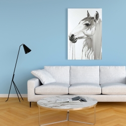 Canvas 24 x 36 - Beautiful white horse