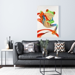 Canvas 24 x 36 - Red-eyed frog