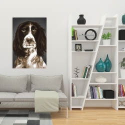 Toile 24 x 36 - Springer spaniel anglais brun