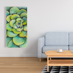 Canvas 24 x 48 - Watercolor succulent plant