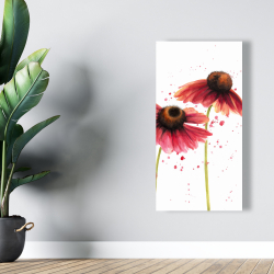 Canvas 24 x 48 - Two pink daisies