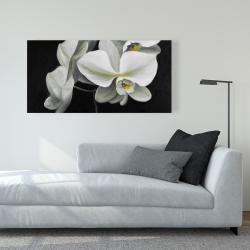 Canvas 24 x 48 - White orchids