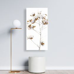 Canvas 24 x 48 - Cotton flowers branch