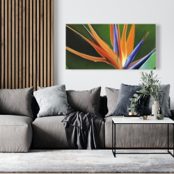 Canvas 24 x 48 - Bird of paradise flower 