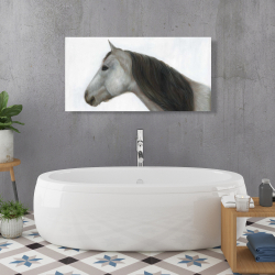 Canvas 24 x 48 - Winter horse