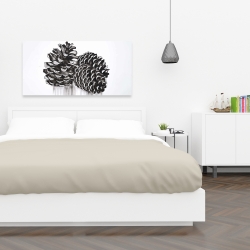 Canvas 24 x 48 - Three small pine cones