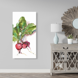 Canvas 24 x 48 - Watercolor radish