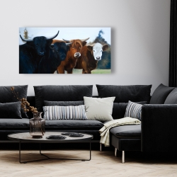 Canvas 24 x 48 - Four highland cows