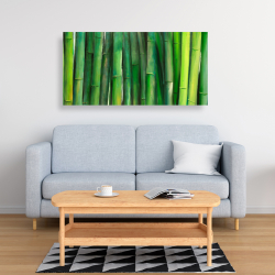 Canvas 24 x 48 - Green bamboo