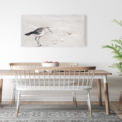 Toile 24 x 48 - Bécasseau semipalmé