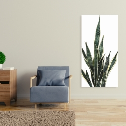 Toile 24 x 48 - Plante couteau