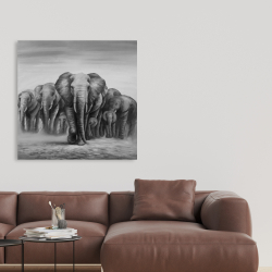 Canvas 36 x 36 - Herd of elephants