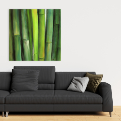 Canvas 36 x 36 - Green bamboo