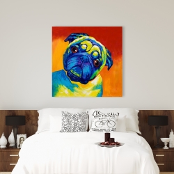 Canvas 36 x 36 - Curious pug
