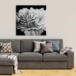 Canvas 36 x 36 - Beautiful black and white flower