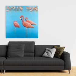 Canvas 36 x 36 - Group of flamingos