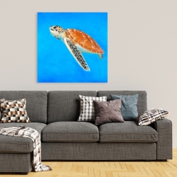 Canvas 36 x 36 - Sea turtle