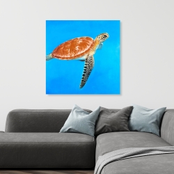 Canvas 36 x 36 - Green aquatic turtle