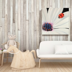 Canvas 36 x 36 - White daisy and ladybug