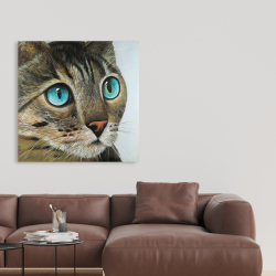 Canvas 36 x 36 - Curious cat portrait