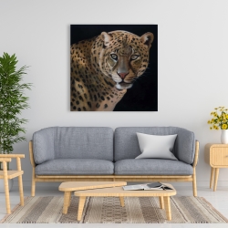 Canvas 36 x 36 - Realistic fierce leopard