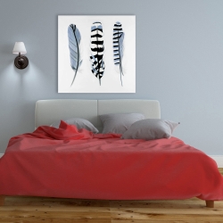 Canvas 36 x 36 - Delicate feathers