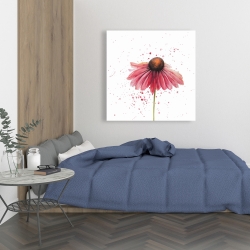 Canvas 36 x 36 - Pink daisy
