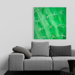 Canvas 36 x 36 - Cactus closeup