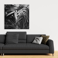 Canvas 36 x 36 - Monochrome tropicals leaves