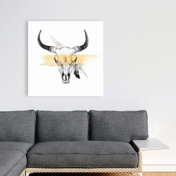 Canvas 36 x 36 - Cow skull with feather