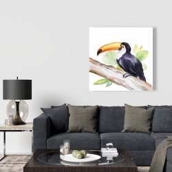 Canvas 36 x 36 - Toucan perched 