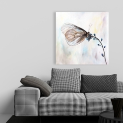 Toile 36 x 36 - Papillon sur fleurs bleues
