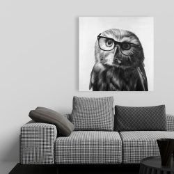 Canvas 36 x 36 - Northern saw-whet owl with glasses