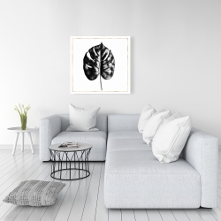 Canvas 36 x 36 - Split leaf philodendron with rose line
