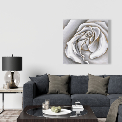 Toile 36 x 36 - Centre d'une rose blanche