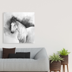 Toile 36 x 36 - Domino le cheval