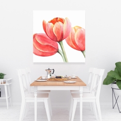 Canvas 36 x 36 - Three tulips closeup
